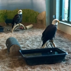 National Eagle Center