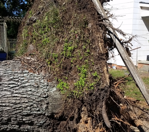 Superior Tree And Landscape - Morristown, TN