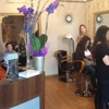 Dana D. Hair Studio gallery