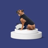 Healers PetCare, Inc gallery