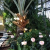 Howard Peters Rawlings Conservatory & Botanic Gardens gallery