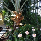 Howard Peters Rawlings Conservatory & Botanic Gardens