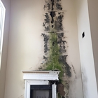 Tampa Bay Mold Testing Service