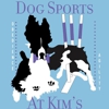Dog Sports At Kim's gallery