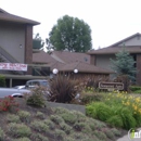 Somerset Apartments - Apartments