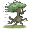 Childress Complete Tree Service gallery