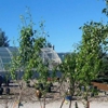 Galles Greenhouse gallery