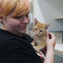 Columbus Wildlife Control - Animal Removal Services