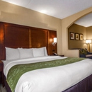 Comfort Suites at Woodbridge - Motels