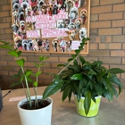 VCA Boulder Terrace Animal Hospital