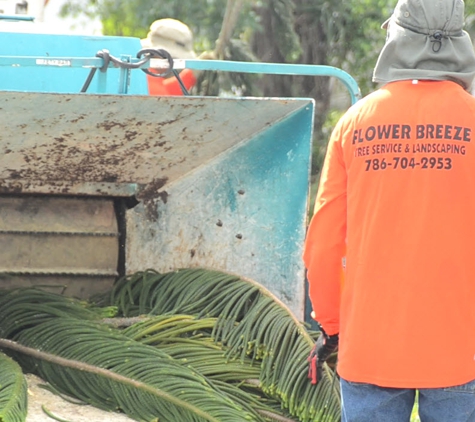 Jardineria con Flower Breeze Corp. - Miami, FL