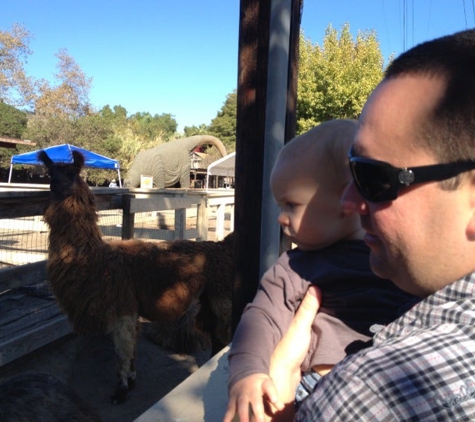 Zoomars Petting Zoo - San Juan Capistrano, CA