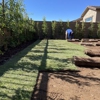 AZ Irrigation Repair Company: Irrigation System Experts gallery