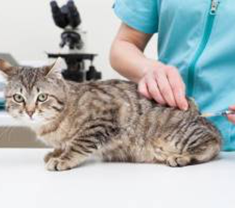 Treasure  Coast Animal Emergency & Specialty Hospital - Vero Beach, FL