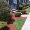 MAS Landscaping & Snow Removal gallery