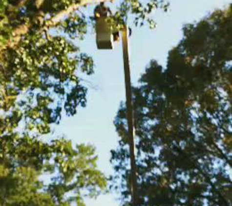 H&H Tree Service - New London, NC