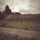 Lynmar Estate Winery