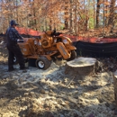 Woodall Stump Grinding - Stump Removal & Grinding