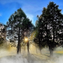Blackberry Inn at Yosemite - Bed & Breakfast & Inns