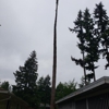 Shepherd's Tree Service and Excavation gallery
