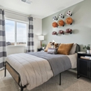 Arcadia by D.R. Horton - Home Builders