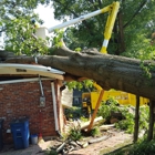 Tennessee Valley Tree Service