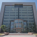 DCD Law - Attorneys
