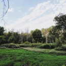 Reinstein Woods Nature Preserve - Building Restoration & Preservation