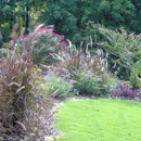 Dream Gardens Landscape Design & Installation - Landscape Designers & Consultants