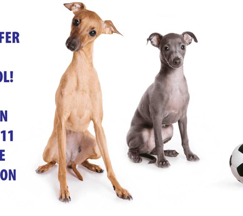 Alcorn Street Veterinary Clinic