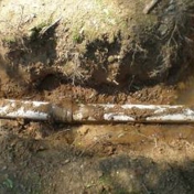 Gallery Image Number 2