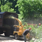 Northern Essex Tree Service