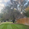 A&J Landscaping &Tree Service gallery