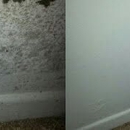 Pure-R Space - Water Damage Restoration