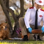 Orkin Pest & Termite Control - Independence, MO