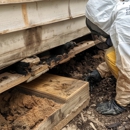 Flagg's Termite & Pest Control - Pest Control Equipment & Supplies