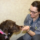 Ralston Vet - Veterinarians