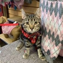 All Pet Supplies & Equine Center - Horse Equipment & Services