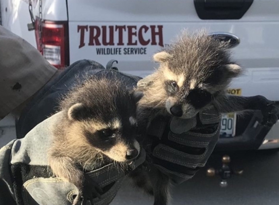 Trutech Wildlife Service