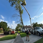 Fricks Tree Service
