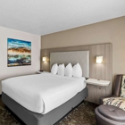 Best Western Worlds of Fun Inn & Suites