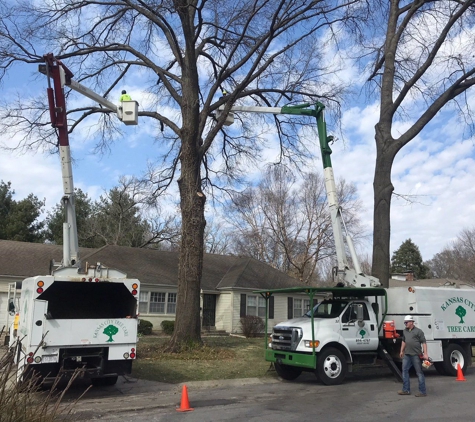 Kansas City Tree Care, LLC - Kansas City, KS