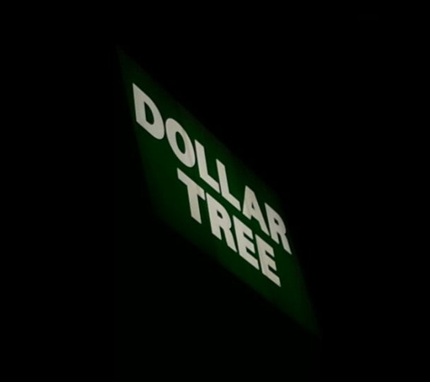 Dollar Tree - Chicago, IL