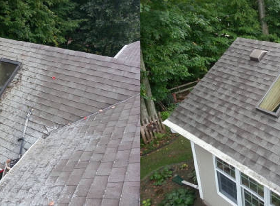 Pro Roof Cleaning