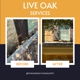 Live Oak Exterior Cleaning