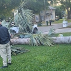 Breidenbach Tree Service of Central Florida