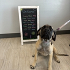 VCA Devotion Animal Hospital