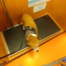 Banfield Pet Hospital - Veterinary Clinics & Hospitals