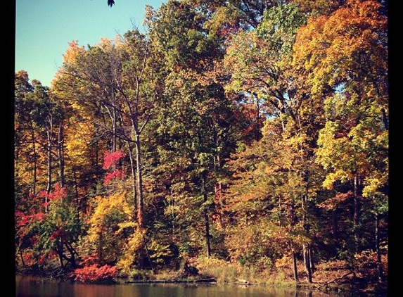 Montgomery Bell State Park - Burns, TN