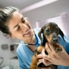 Barfield Animal Hospital gallery